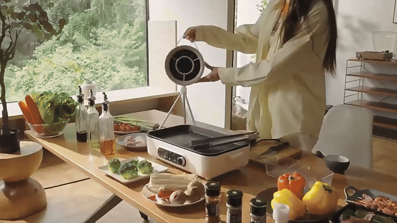 Mobile Range Hood