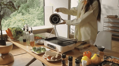 Mobile Range Hood
