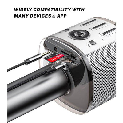 Karaoke Microphone With Speaker - ZEEKO.AE