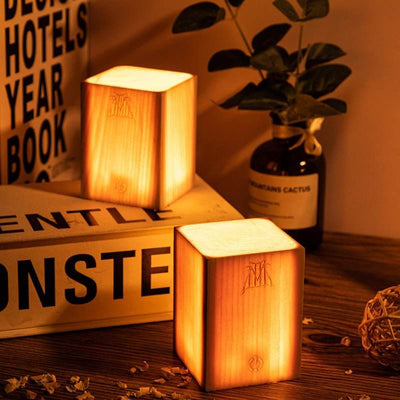 Retro Personality Creative Atmosphere Lamp Picnic - ZEEKO.AE